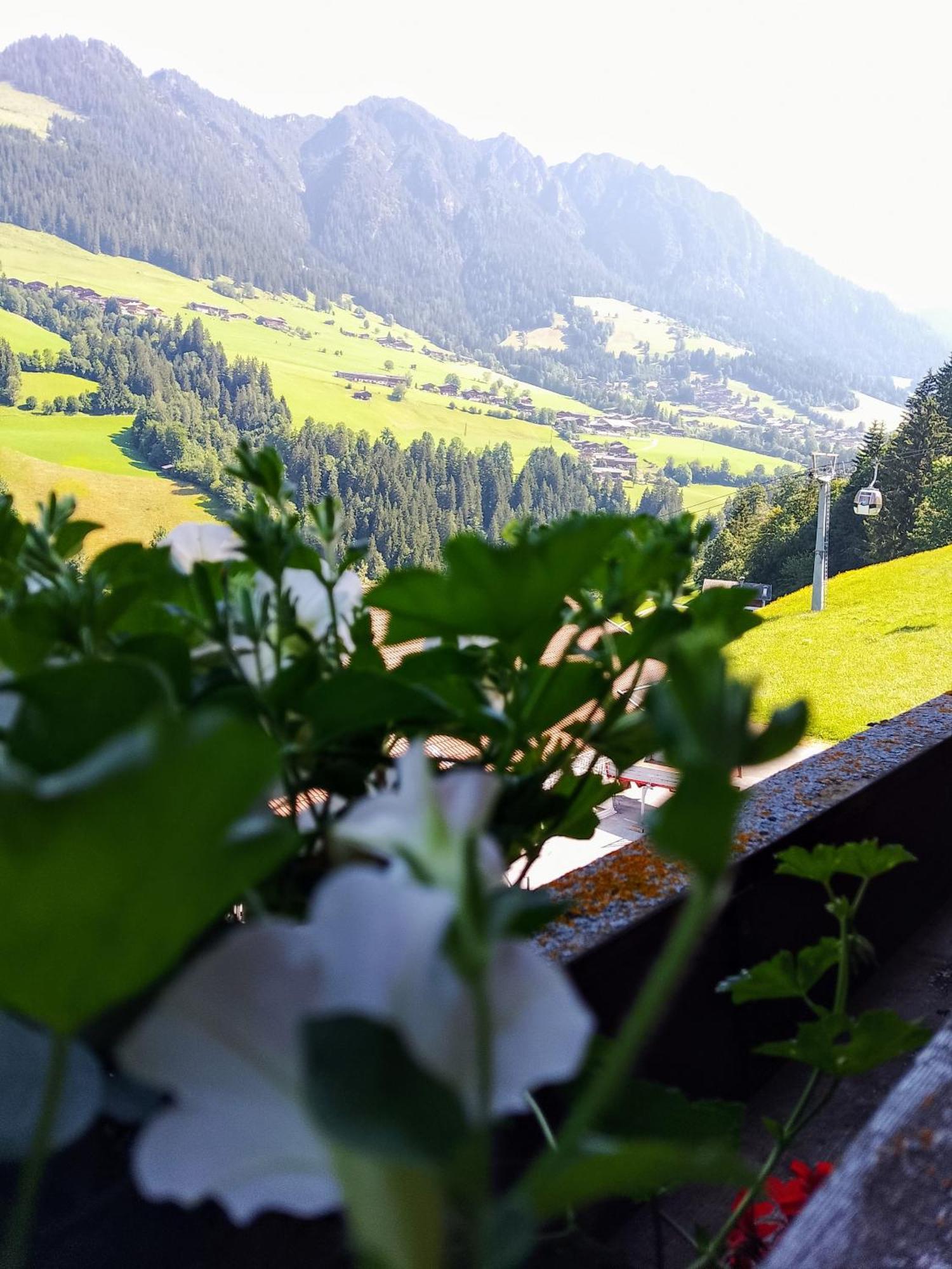 Appartements Kolberhof Alpbach Habitación foto